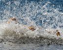 20160925-jhw-0015