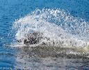 20160925-jhw-0137
