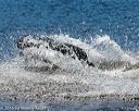 20160925-jhw-0543