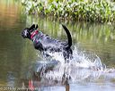 20160925-jhw-0550