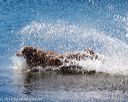 20160925-jhw-0624