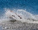 20160925-jhw-0629
