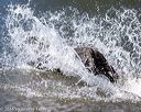 20160925-jhw-0829
