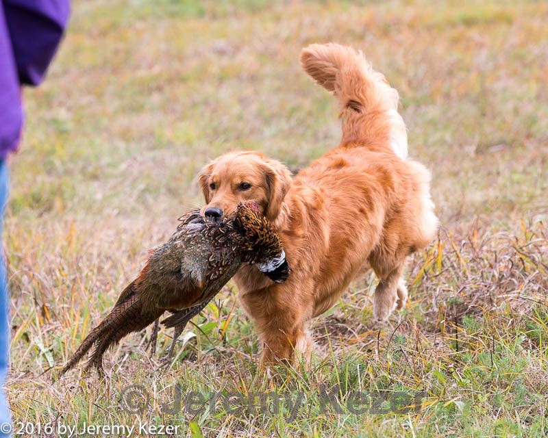 20161008-wcl-0031.jpg