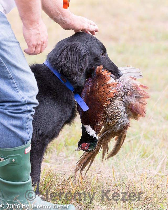 20161008-wcl-0114.jpg