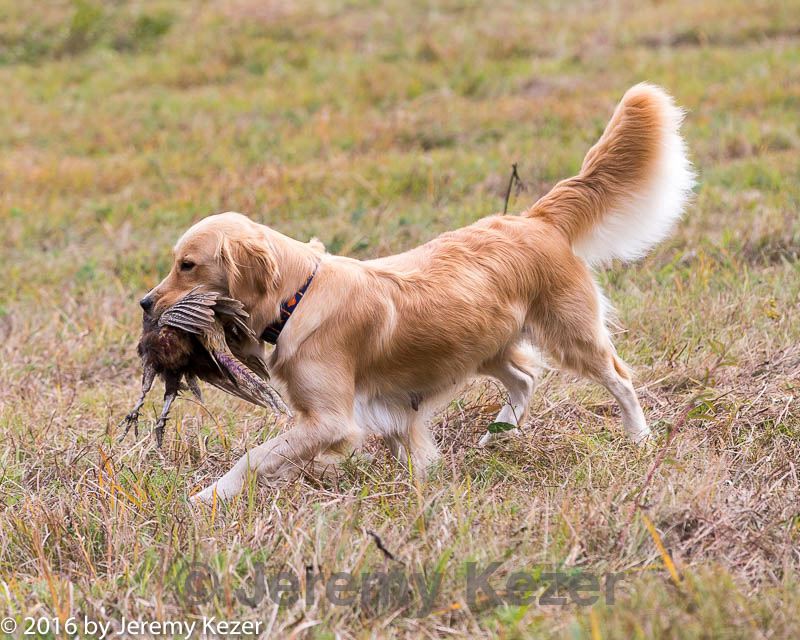 20161008-wcl-0122.jpg