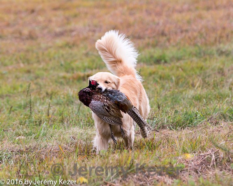 20161008-wcl-0194.jpg