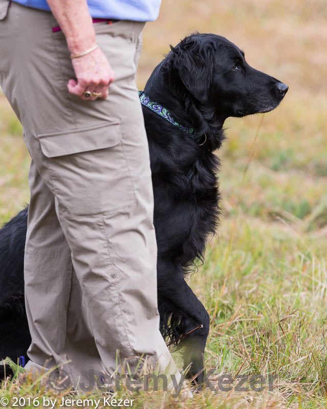 20161008-wcl-0227.jpg