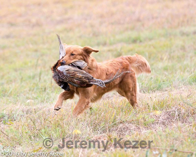 20161008-wcl-0410.jpg
