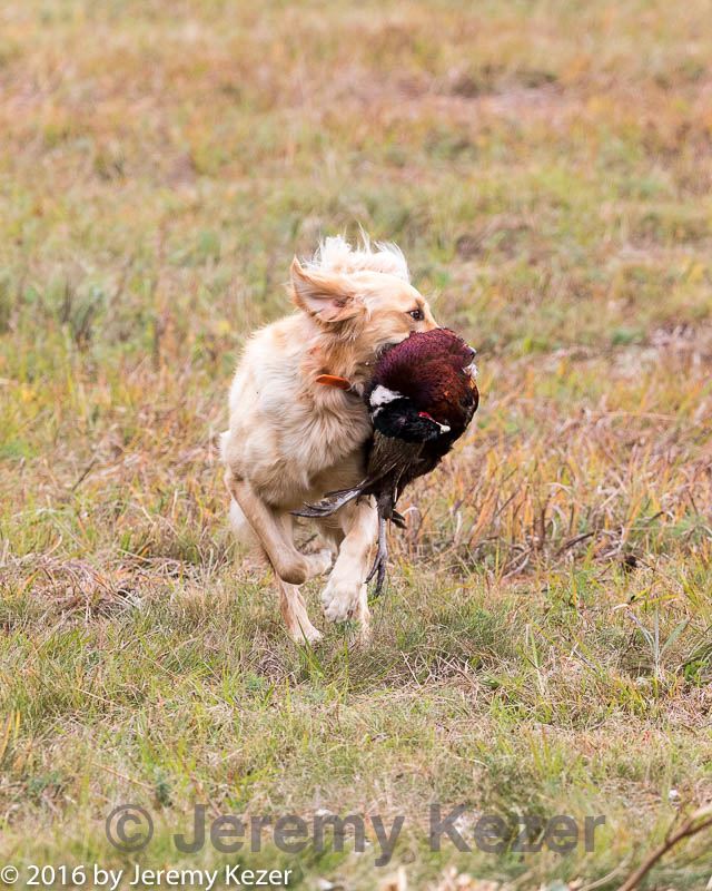 20161008-wcl-0456.jpg
