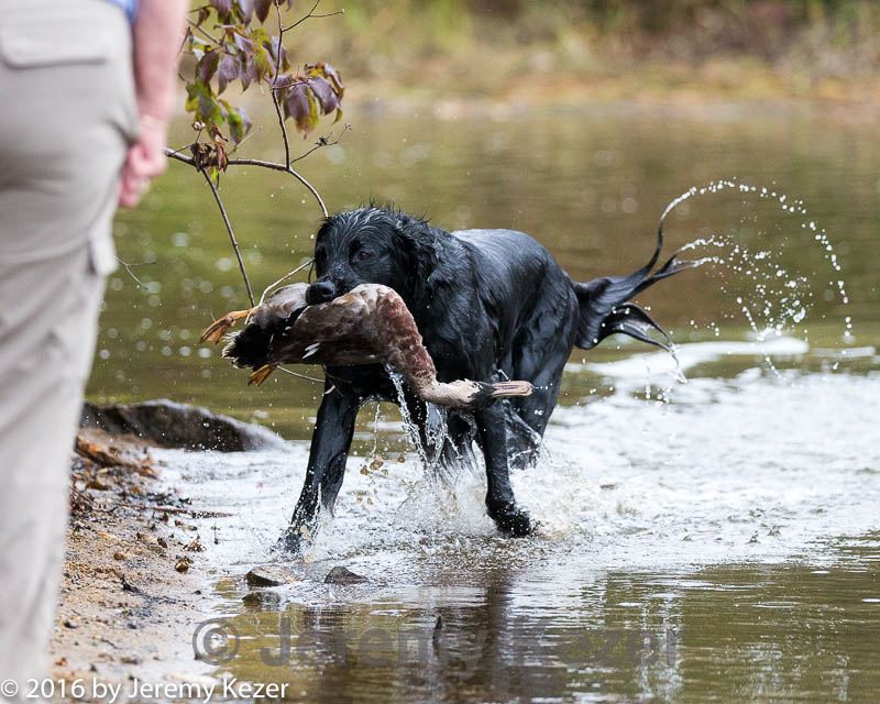 20161008-wcw-0244.jpg