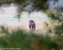 20161008-wcxl-0013
