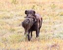 20161008-wcxl-0030