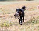 20161008-wcxl-0044
