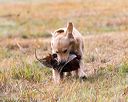 20161008-wcxl-0069
