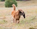 20161008-wcxl-0152