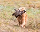 20161008-wcxl-0158
