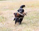 20161008-wcxl-0332