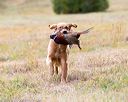 20161008-wcxl-0476