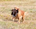 20161008-wcxl-0560