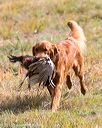 20161008-wcxl-0592