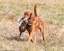 20161008-wcxl-0610