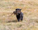 20161008-wcxl-0634
