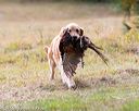20161008-wcxl-0672
