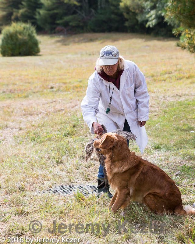 20161008-wcxl-0538.jpg