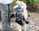 20161008-wcxw-0036