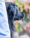 20161008-wcxw-0064