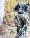 20161008-wcxw-0291