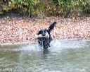 20161008-wcxw-0355
