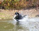20161008-wcxw-0501