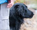20161008-wcxw-0523