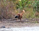 20161008-wcxw-0651