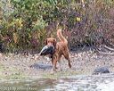 20161008-wcxw-0654