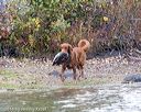 20161008-wcxw-0655