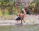 20161008-wcxw-0657