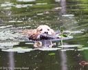 20170603-seaw-0004