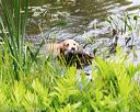 20170603-seaw-0006