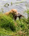 20170603-seaw-0007