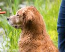 20170603-seaw-0009