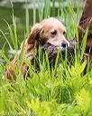 20170603-seaw-0010
