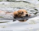 20170603-seaw-0025