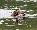 20170603-seaw-0048