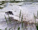 20170603-seaw-0075