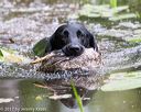 20170603-seaw-0098