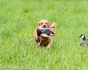 20170603-shrl-0039