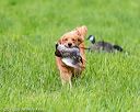 20170603-shrl-0040